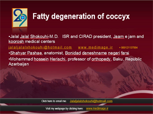 fatty-degeneration-of-coccyx
