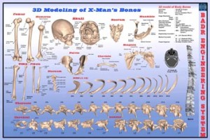06.12.16 - xman's Bones 3D model with BES title